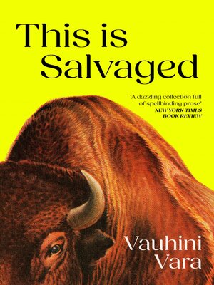 cover image of This Is Salvaged